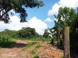 A picture of PLOTS WITH READY TITLE ON SALE Located at matugga bombo