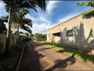 houses kira