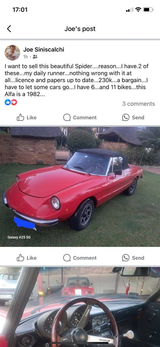 alfa romeo