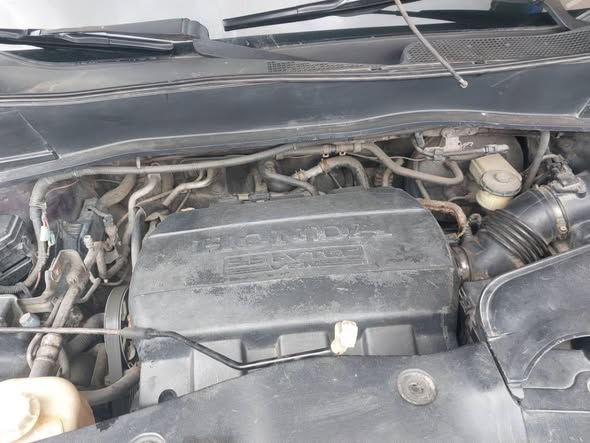 A picture of 2010 Honda pilot