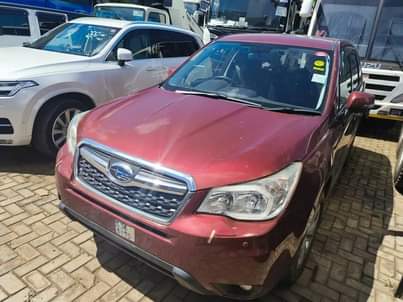 A picture of Subaru Forester 2014