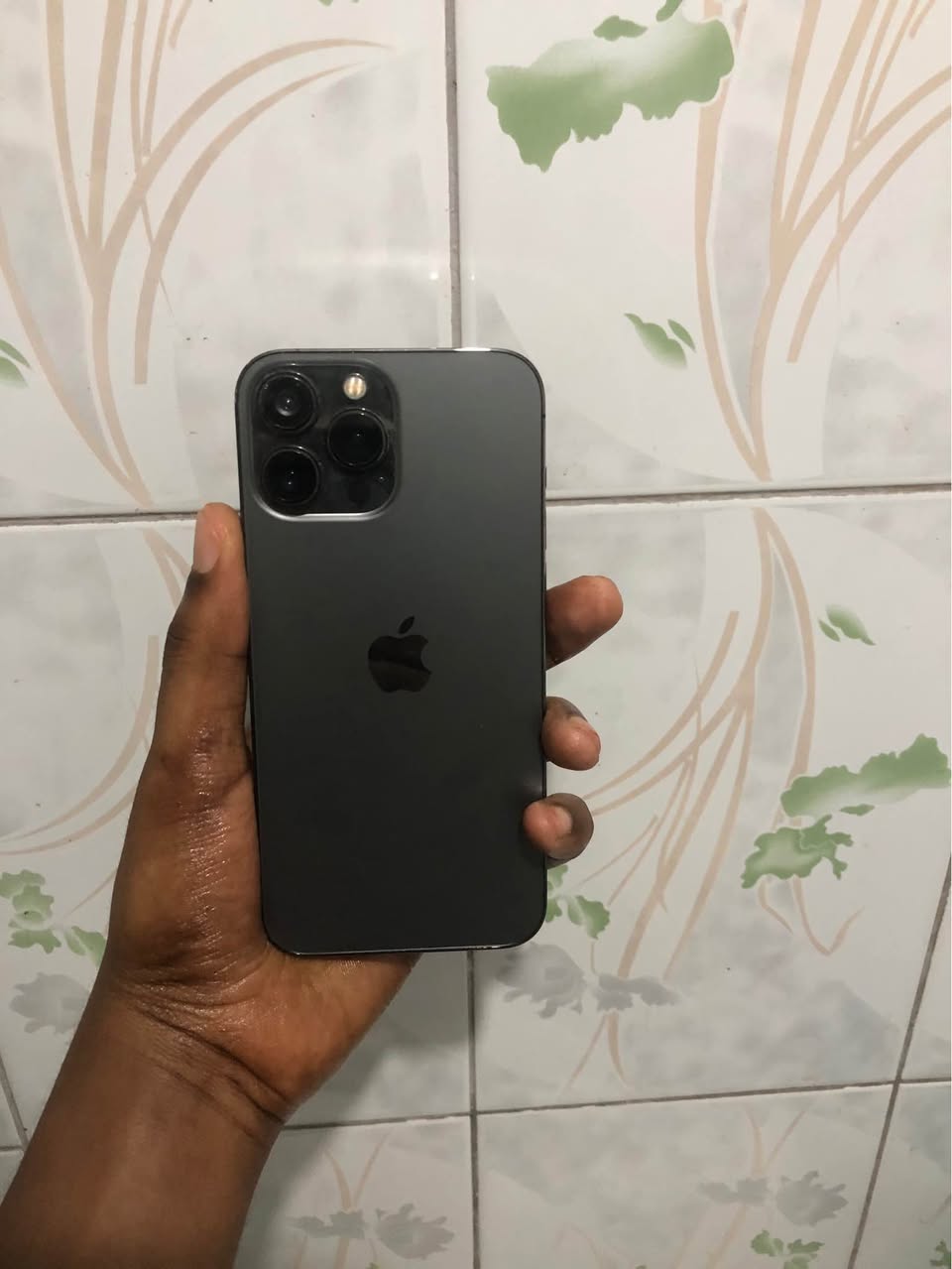 iphone 13pro