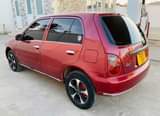 A picture of starlet