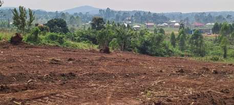 A picture of BRAND NEW ESTATE 2024 WITH READY TITLES AND DEVELOPED NEIGHBORHOOD
