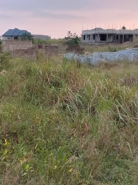 ghana plots