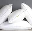 A picture of Round nets towels pillows 256741061621