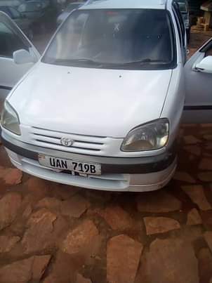 used toyota raum