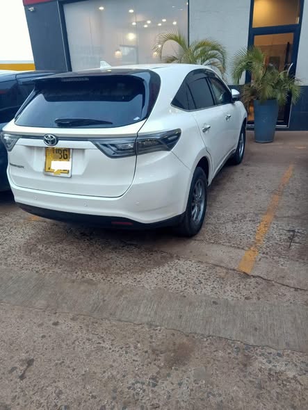 A picture of harrier on quick sale 2016