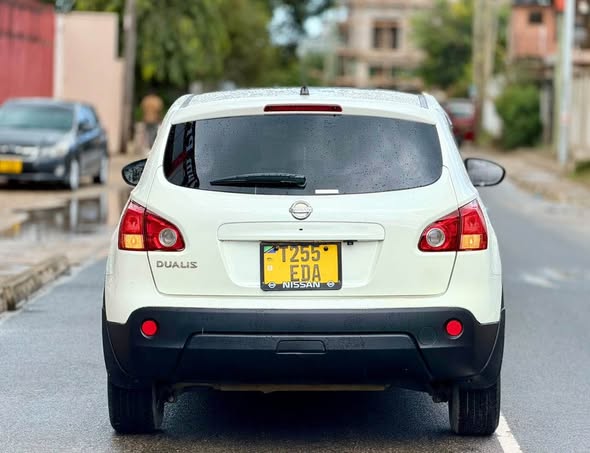 A picture of Nissan dualis
