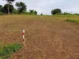 A picture of Mukono kalagi quick sale plot