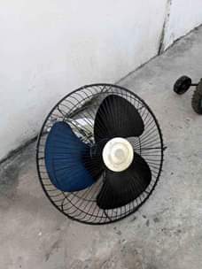 A picture of Feni