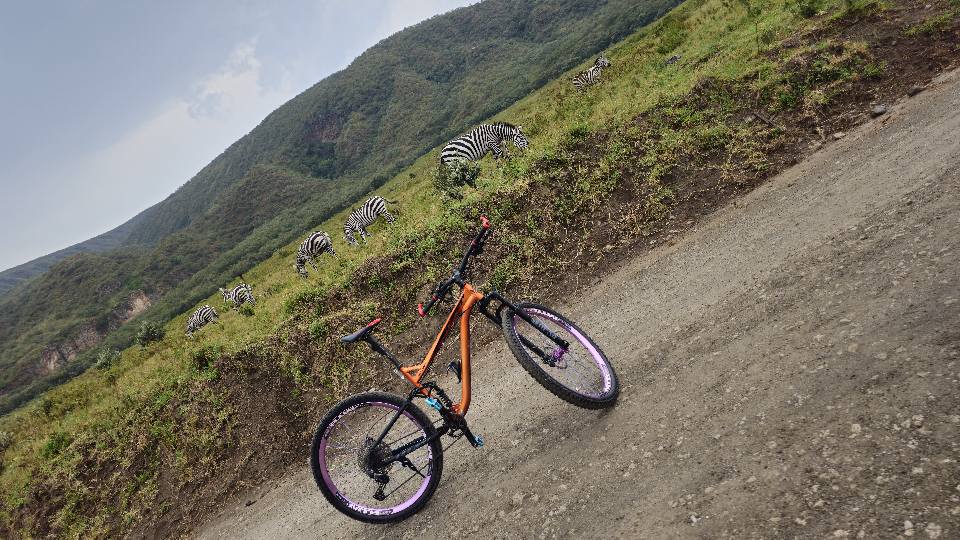mountain bike