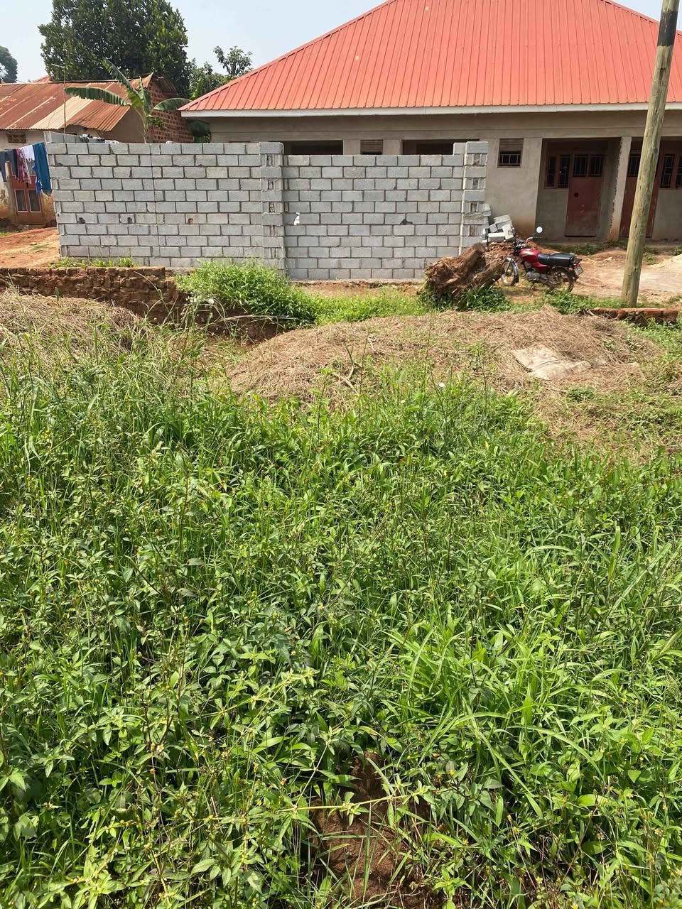 A picture of Ndagano