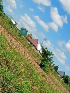 A picture of Mwanza buswelu kiwanja kinauzwa