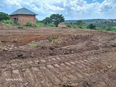 A picture of Plots on fair prices