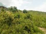 A picture of 0765291521 0679291521 KIWANJA MITA 30X15 CHANIKA ITALIANO