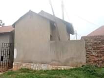 A picture of House
