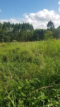 A picture of Private land 10 acres