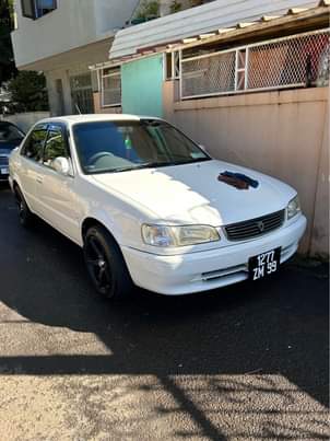 used toyota corolla