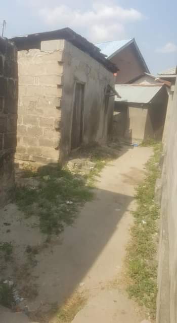A picture of BANDA LINAUZWA