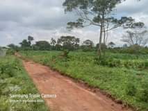 A picture of Acres for sale