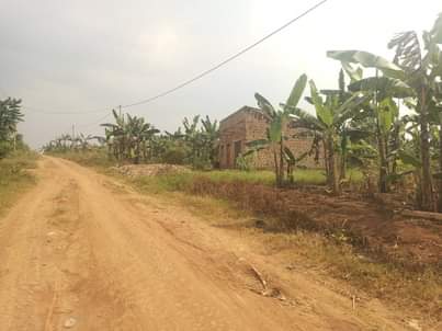 A picture of 5m Quick sale 5m 50by40ft located at matugga migadde off