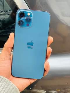 iphone pro max