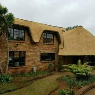 pongola K.