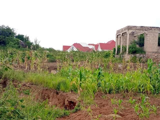 A picture of Mwanza Buswelu wilayani kiwanja kinauzwa