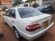 A picture of Kikumi