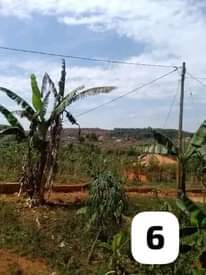A picture of Affordable Residential Commercial Plots available on Sale at KASENGE NATEETE