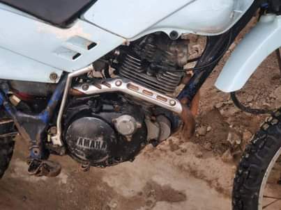 A picture of Yamaha serow