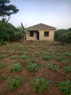 A picture of House