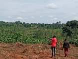 A picture of MATUGGA KAVULE NEW CITY SITE. AFFORDABLE PLOTS WITH A TITLE