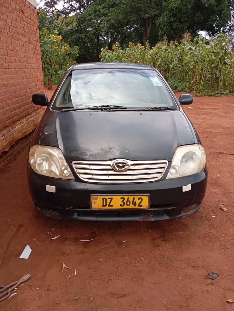 used toyota corolla