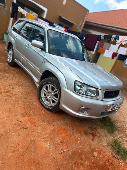 subaru forester