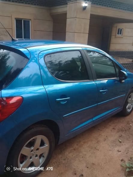 A picture of 2010 Peugeot 207