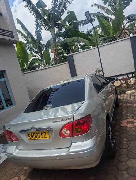 A picture of Car