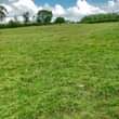 A picture of 80 acres of land in ntungamo for sale at 14m