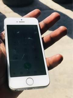 iphones 5s