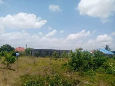 A picture of Kiwanja