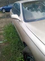A picture of Orobo