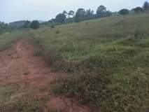 houses hoima