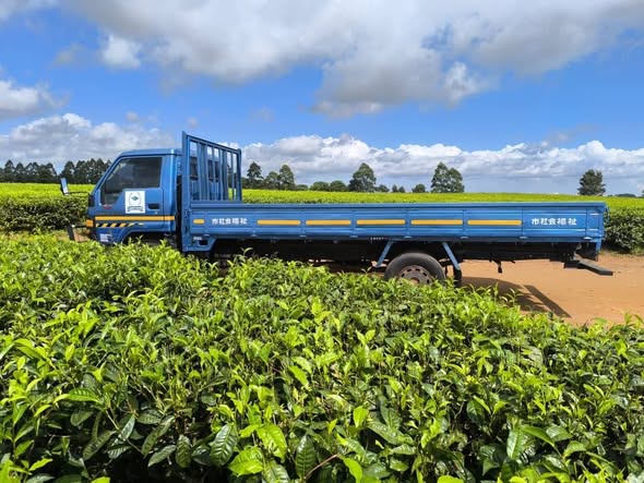 trucks