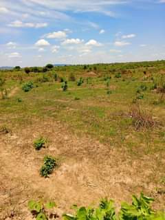 mwembeshi