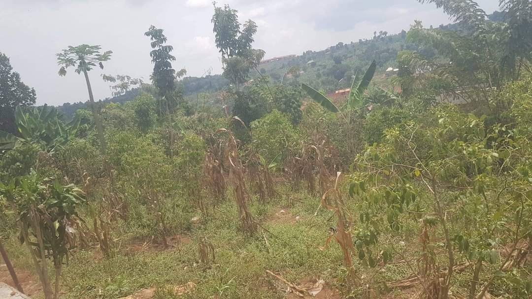 A picture of Land