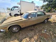 jaguar xj6