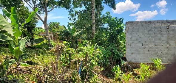 A picture of Plot FOR SALE Location Kiyunga Kibiribiri Mukono Plot Size 50ft