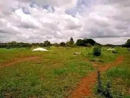 mwembeshi