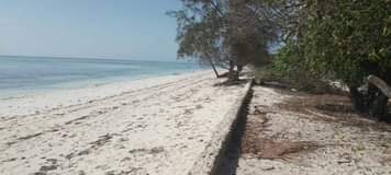 A picture of Makunduchi